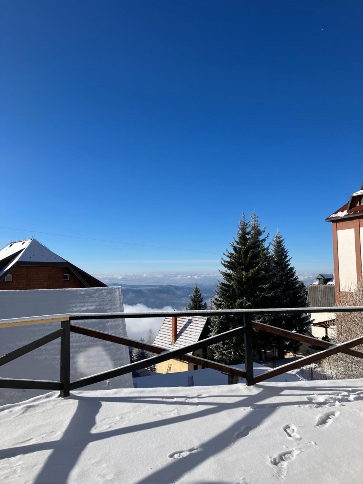 Zoara Apartment Kopaonik Eksteriør billede